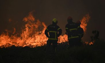 Οι Γάλλοι πυροσβέστες δίνουν μάχη για να προστατέψουν το Μπορντό από τις φλόγες