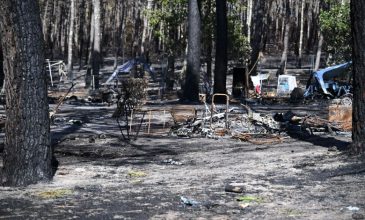 Τα άγρια ζώα της Ζιρόντ κινδυνεύουν από τις φωτιές και την απώλεια του περιβάλλοντός τους