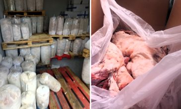 Νέο «μπλόκο» της Περιφέρειας Αττικής σε 6,2 τόνους ακατάλληλων τροφίμων ζωικής προέλευσης – Βρέθηκε παράνομο εργοστάσιο στο Ίλιον