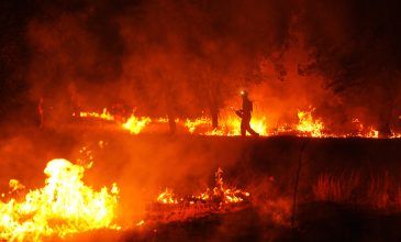 Πυρκαγιές σε Ισπανία και Γαλλία: Κρίσιμες ώρες για την περιφέρεια της Μαδρίτης, καθώς αναμένεται αλλαγή των ανέμων