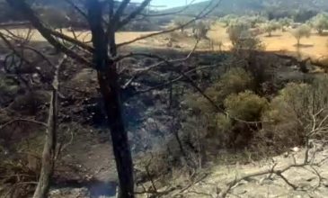 Επιχείρηση κατάσβεσης της πυρκαγιάς στην Πάρο: 86 πυροσβέστες στη μάχη – Ο καπνός επηρέασε Κυκλάδες και περιοχές της βόρειας Κρήτης