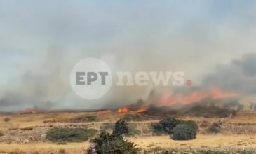 Σε ύφεση η πυρκαγιά της Πάρου, συνεχίζεται η μάχη με τις διάσπαρτες εστίες – Στο πεδίο παραμένουν ισχυρές επίγειες και εναέριες δυνάμεις