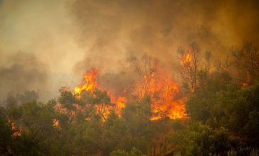 Δύσκολη η κατάσταση στο Πλωμάρι Μυτιλήνης: Εκκενώνεται τμήμα του οικισμού κοντά στα μέτωπα