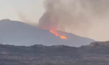 Φωτιά στον Αθερινόλακο Σητείας: Ελαφρά τραυματίστηκαν δύο πυροσβέστες – Ζημιές σε εργοστάσιο της ΔΕΗ