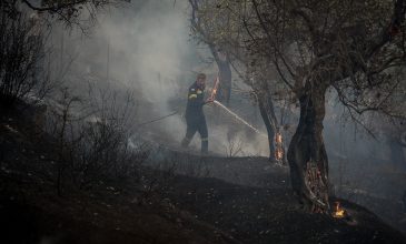Ανεξέλεγκτη παραμένει ακόμη η φωτιά σε όλα τα μέτωπα των πυρκαγιών σε Ρέθυμνο, Σητεία και Πλωμάρι – Εκκενώθηκαν οικισμοί και ξενοδοχεία