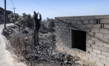 Ξεκίνησαν οι αυτοψίες στις πυρόπληκτες περιοχές του Δήμου Αγίου Βασιλείου στο Ρέθυμνο