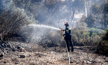 Χωρίς ενεργό μέτωπο η φωτιά στο Μονοπήγαδο Θεσσαλονίκης