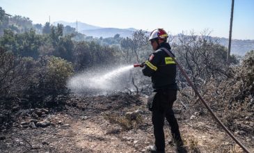 Καλύτερη η εικόνα της φωτιάς στο Ρέθυμνο – «Μάχη» με τις φλόγες και στην Άνδρο