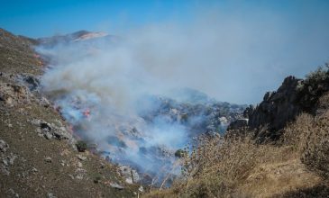 «Μάχη» με την πύρινη λαίλαπα στο Ρέθυμνο – Σε κρίσιμη κατάσταση η περιοχή Πρέβελης