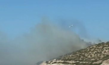 Πυρκαγιά σε χαμηλή βλάστηση στον Χάρακα Αττικής – Ήχησε το 112