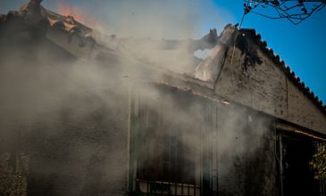 Πύρινη λαίλαπα στην Αργολίδα: Κάηκαν σπίτια στο Φίχτι – Μπαράζ εκκενώσεων