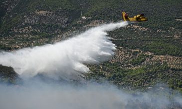 Μεγάλη φωτιά στην Βοιωτία: Μήνυμα του 112 για απομάκρυνση από τις περιοχές Προσήλι και Πόρτο Γερμενό Αττικής
