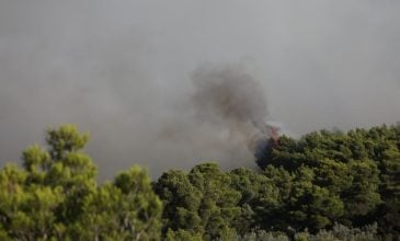Φωτιά στο Αίγιο: Ενισχύθηκαν οι πυροσβεστικές δυνάμεις που επιχειρούν στις Νεραντζιές
