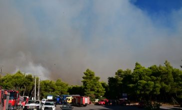 Δύο συλλήψεις για την μεγάλη πυρκαγιά που εκδηλώθηκε στη Βοιωτία και επεκτάθηκε στην Αττική