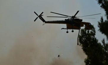 Φωτιά στην Δυτική Αττική: Μηνύματα του 112 για απομάκρυνση από Κανδήλι, Άνω Βλυχάδα, Άγιο Κωνσταντίνο, ΒΙΠΕ Μεγάρων – Παπά Περιβόλι