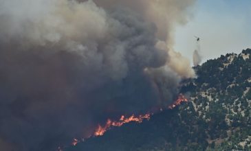 Μεγάλη φωτιά στην Δυτική Αττική: Σε Κανδήλι και Ψάθα η μεγάλη μάχη – Μηνύματα του 112 για εκκένωση
