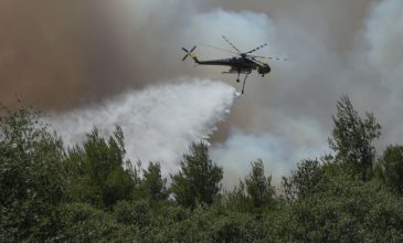 Μάχη με τις φλόγες συνεχίζουν να δίνουν οι πυροσβεστικές δυνάμεις στην μεγάλη πυρκαγιά στη Δυτική Αττική – Η φωτιά μπήκε στην Αγία Σκέπη