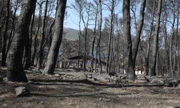 Η επόμενη ημέρα μετά τις πυρκαγιές που κατέκαψαν τη Δυτική Αττική – Τα έργα Antinero, η αποκατάσταση και η «μάχη» πριν από τις βροχές