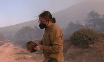 Βίντεο από την στιγμή που ο ρεπόρτερ της ΕΡΤ σώζει χελώνα από τις φλόγες στον Κουβαρά