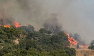 Συναγερμός στην Καβάλα: Φωτιά ανάμεσα σε Κοκκινόχωμα και Ελευθερούπολη – Μήνυμα από το 112 στους κατοίκους
