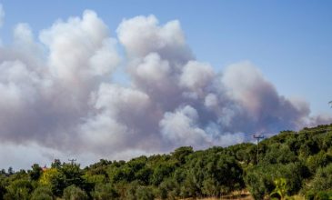 Φωτιά στην Χαλκιδική: Σπίτια στις φλόγες σε Σίβηρη και Φούρκα – Τραυματίστηκαν δύο πυροσβέστες