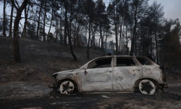 Πολύ καλύτερη η εικόνα στην φωτιά της Χαλκιδικής: Χωρίς ενεργό μέτωπο, στο… κυνήγι των αναζωπυρώσεων