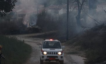 Χαλκιδική: Ενισχύθηκαν τα πεζοπόρα τμήματα που θα επιχειρούν όλη τη νύχτα για να θέσουν την φωτιά υπό έλεγχο