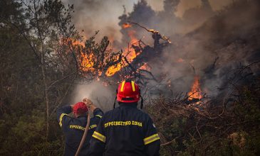 Στα 2.480 στρέμματα η περίμετρος της καμένης έκτασης από την φωτιά στη Σίβηρη Χαλκιδικής