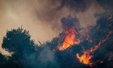 Αγωνία στις βαλκανικές τουριστικές «δεξαμενές» προκάλεσε η φωτιά στη Σίβηρη Χαλκιδικής