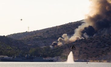 Υπό έλεγχο η φωτιά στο Ελληνικό Σαλαμίνας