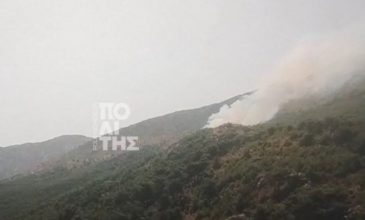 Φωτιά στη Χίο