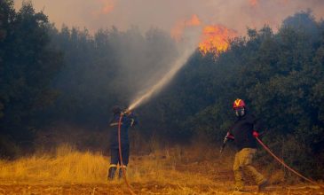 Βελτιωμένη η εικόνα στις φωτιές σε Κάρυστο και Μύτικα Θήβας
