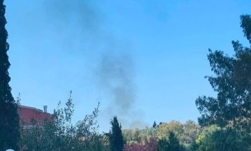 Οριοθετήθηκε η φωτιά στη Δασιά Κέρκυρας