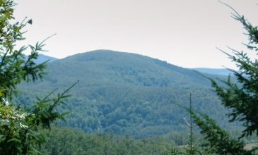 Απαγόρευση κυκλοφορίας σε δασικές περιοχές στην Χαλκιδική, λόγω υψηλού κινδύνου εκδήλωσης φωτιάς