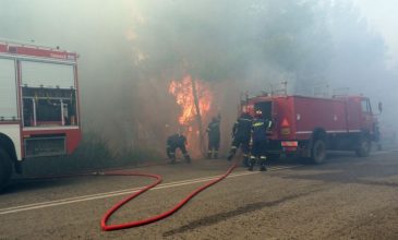 Βελτιωμένη η εικόνα της φωτιάς στη Μακρυκάπα Εύβοιας