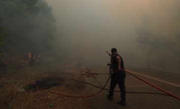 Χωρίς ενεργό μέτωπο η φωτιά στη Μακρυκάπα Εύβοιας