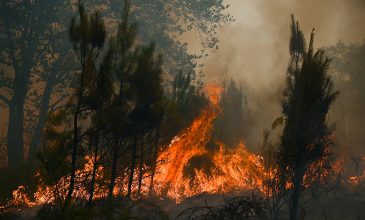 Τώρα έσβησε η φωτιά στην Ζιρόντ της Γαλλίας που είχε ξεσπάσει στις 22 Ιουλίου