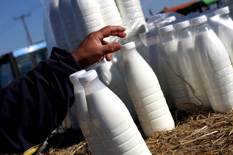 Σε ελεύθερη πτώση η ελληνική αγορά γάλακτος