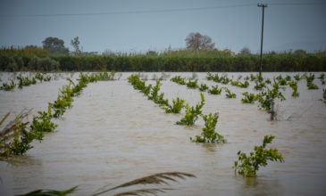 Ενισχύσεις του ΕΛΓΑ σε πλημμυροπαθείς αγρότες