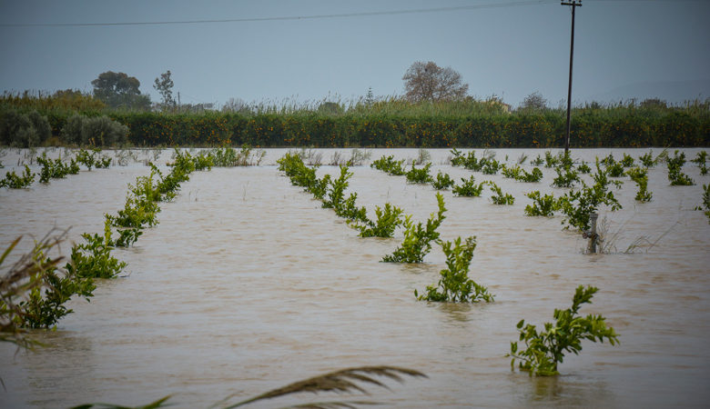 Ενισχύσεις του ΕΛΓΑ σε πλημμυροπαθείς αγρότες