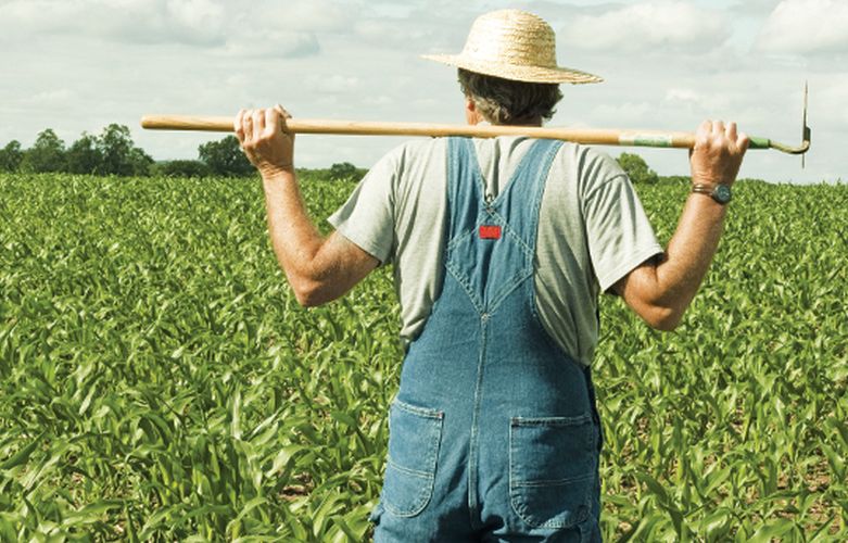 Αποτέλεσμα εικόνας για agrotes