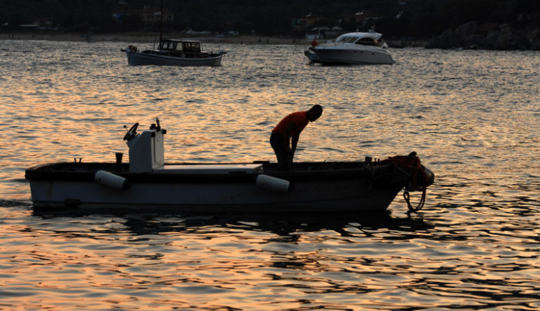 Στην «Αγορά του Καταναλωτή» ένα από τα μεγαλύτερα ψάρια που έχουν αλιευθεί τα τελευταία χρόνια στην Ελλάδα