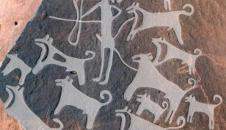 Ανακαλύφθηκαν απεικονίσεις σκύλων σε βράχους τουλάχιστον 8.000 ετών
