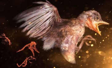 Απίστευτη ανακάλυψη: Προϊστορικό πουλί παγιδευμένο σε κεχριμπάρι