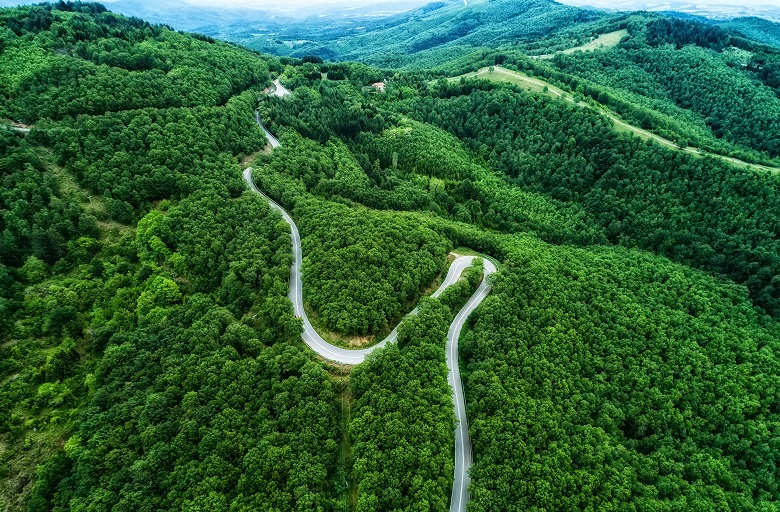 Τι αλλάζει στους δασικούς χάρτες και στο πλαίσιο για τις επεμβάσεις στα δάση