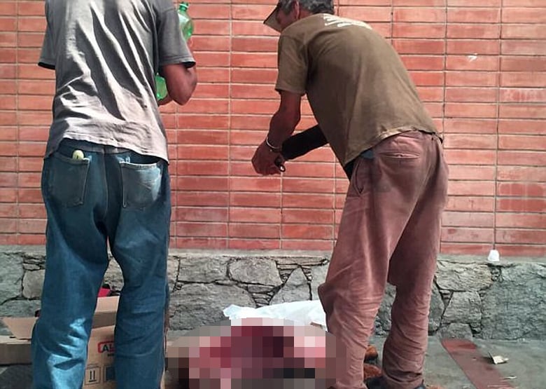 Βενεζουέλα: Σκοτώνουν και τρώνε αδέσποτα σκυλιά