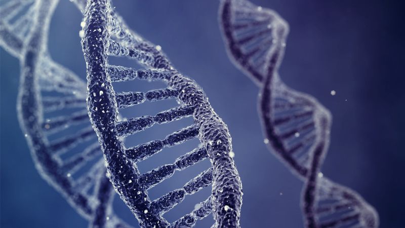 Ανακαλύφθηκαν περισσότερα από 500 «γονίδια εξυπνάδας»