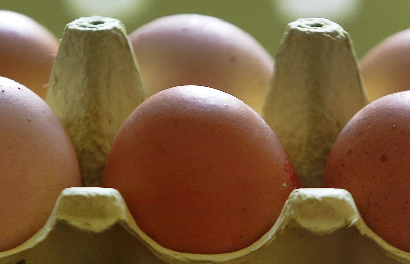 Πλήττει Γαλλία και Βρετανία το σκάνδαλο με τα μολυσμένα αυγά