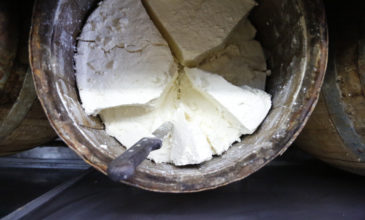 Φέτα και κατσικίσιο τυρί με μύκητες ανακαλεί ο ΕΦΕΤ