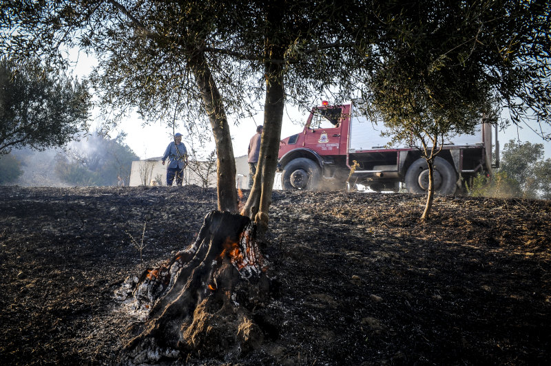 Κανένα ενεργό μέτωπο στην Ηλεία – Οριοθετήθηκε η πυρκαγιά